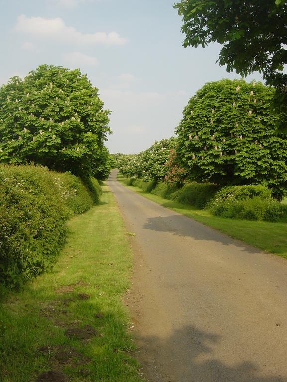 ミルトン・ケインズ Furtho Manor Farm Bed & Breakfast エクステリア 写真